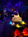 34th Street Trail of Lights (1002361)