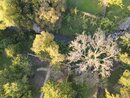 Drone Shots - Week 40 (1004519)