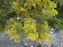 Drone Shots - Week 40 (1004878)