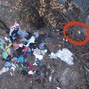 Drone Shots - Week 52 (1006060)