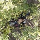 Drone Shots - Week 43 (1006210)