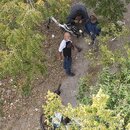 Drone Shots - Week 42 (1006584)