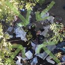 Drone Shots - Week 44 (1008387)