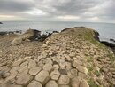 The Giant's Causeway (976945)