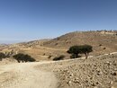 Extra Pics from Jordan 2019 (977117)