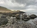 The Giant's Causeway (977157)