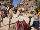 Guiding Three Swiss Girls Around Petra (977024)