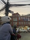 Hanging out in Kathmandu (977193)