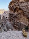 Hiking Petra with DaveG (977419)