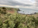The Giant's Causeway (977340)