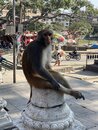 Swayambhunath Monkey Temple in Kathmandu (977685)