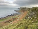 The Giant's Causeway (977526)
