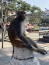 Swayambhunath Monkey Temple in Kathmandu (977930)