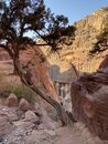 Solo Petra Hiking 2019 (977805)