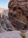 Hiking Petra with DaveG (977978)