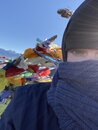 Trekking to Pike Peak in the Himalayas (977979)