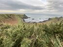 The Giant's Causeway (977969)