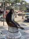 Swayambhunath Monkey Temple in Kathmandu (977964)