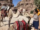 Guiding Three Swiss Girls Around Petra (977990)
