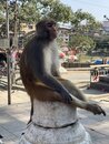 Swayambhunath Monkey Temple in Kathmandu (978044)