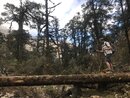 Trekking to Pike Peak in the Himalayas (978442)