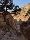 Solo Petra Hiking 2019 (978246)