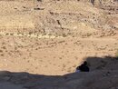 Solo Petra Hiking 2019 (978690)