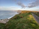 The Cliffs of Moher (978575)