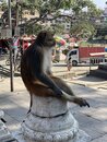 Swayambhunath Monkey Temple in Kathmandu (978463)