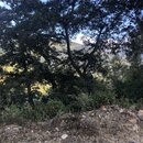 Heading to Bumthang, Bhutan (979199)