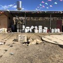 Rabbit Mountain and Haizi Mountain Preserve (979071)