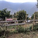 Afternoon Drive to Sakteng School (979002)