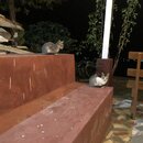 Arrival into Bhutan with Mark (979146)