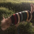 Atticus Finch! (979034)