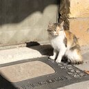 Exploring GÃ¶reme, Cappadocia (979191)