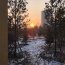 Exploring Ulaanbaatar (979029)