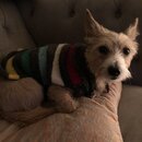 Christmas Time at Heather's (979378)