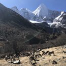Summiting Yading National Park (979237)
