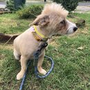 Saying Goodbye to Atters (979439)