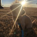 Winter Roadtrip to KC (979323)