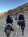Donkey Riding to Jabal Haroun (979238)