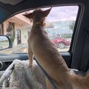 Saying Goodbye to Atters (979365)