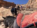 Donkey Riding to Jabal Haroun (979566)