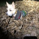 Random Photos 2018 (979604)