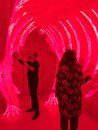 Visiting Meow Wolf with Bao (979686)