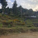 Dorji's House in Phongmey (979465)