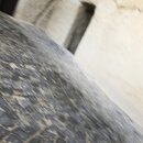 GÃ¶reme AÃ§Ä±k Hava MÃ¼zesi (979578)