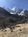 Summiting Yading National Park (979618)