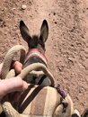 Donkey Riding to Jabal Haroun (979635)