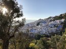 Exploring Chefchaouen (979946)
